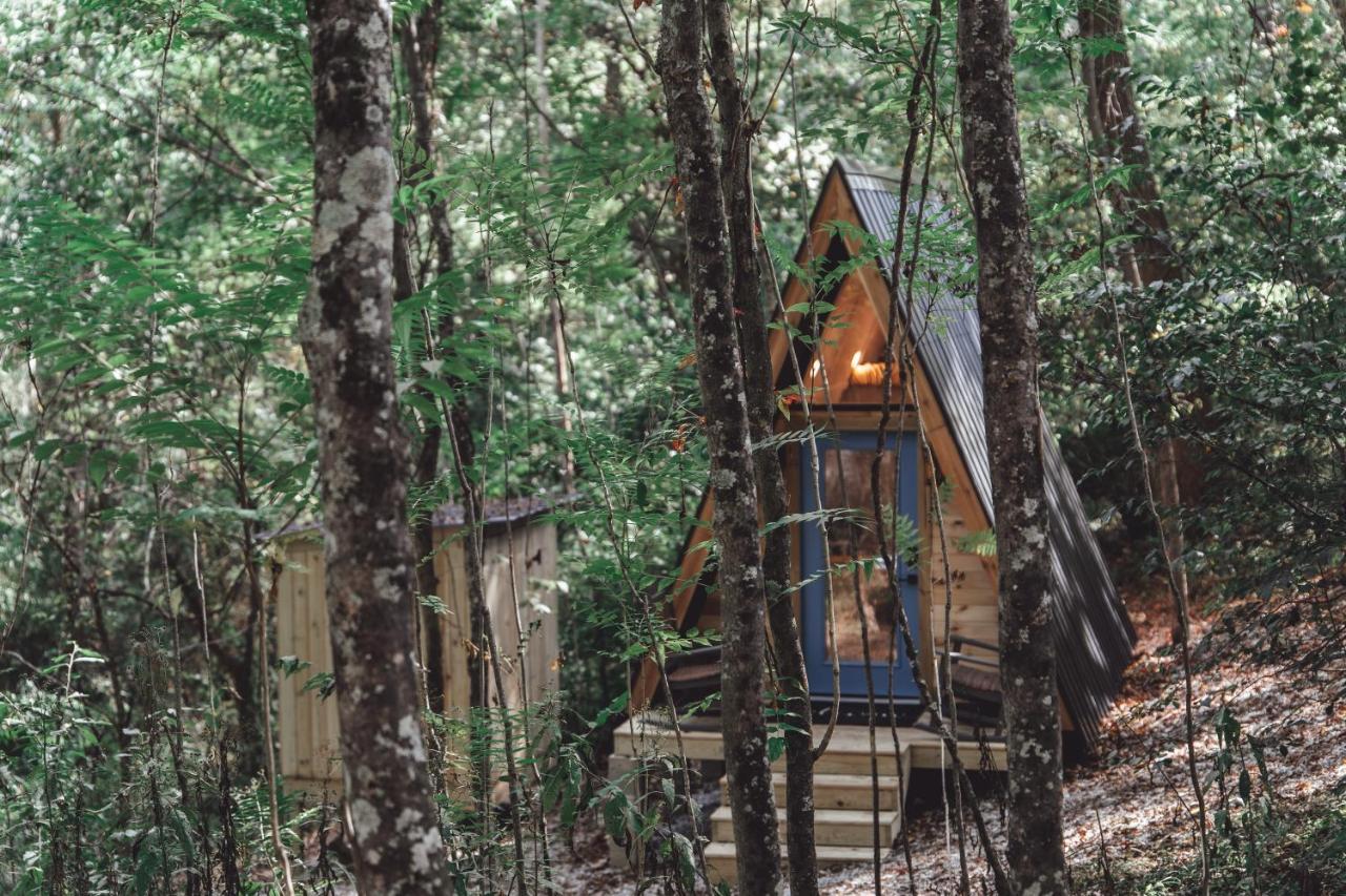Ferienwohnung Blue Brambler Glamping A-Frame Rockbridge Exterior foto
